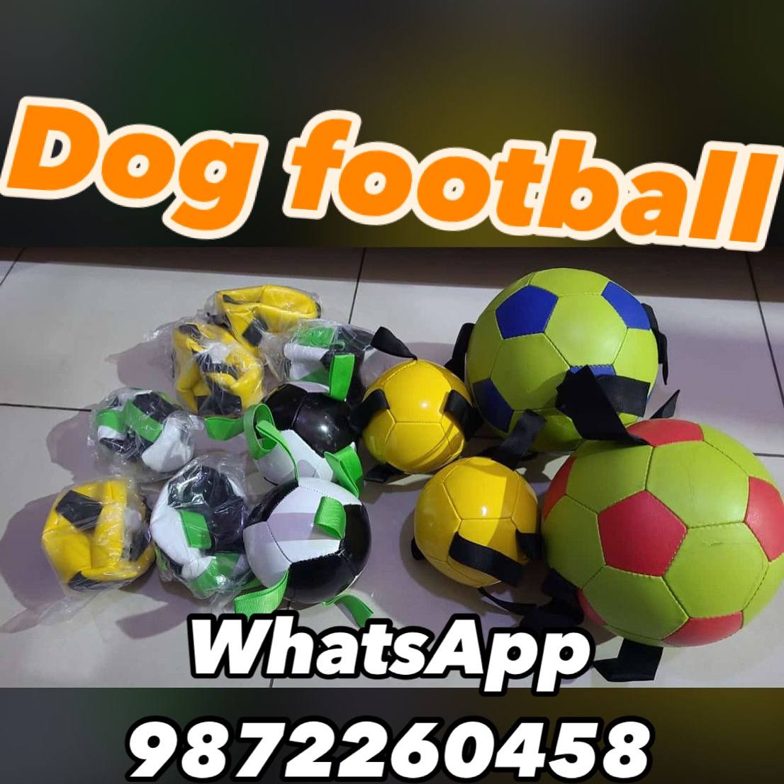 LARGE DOG FOOTBALL