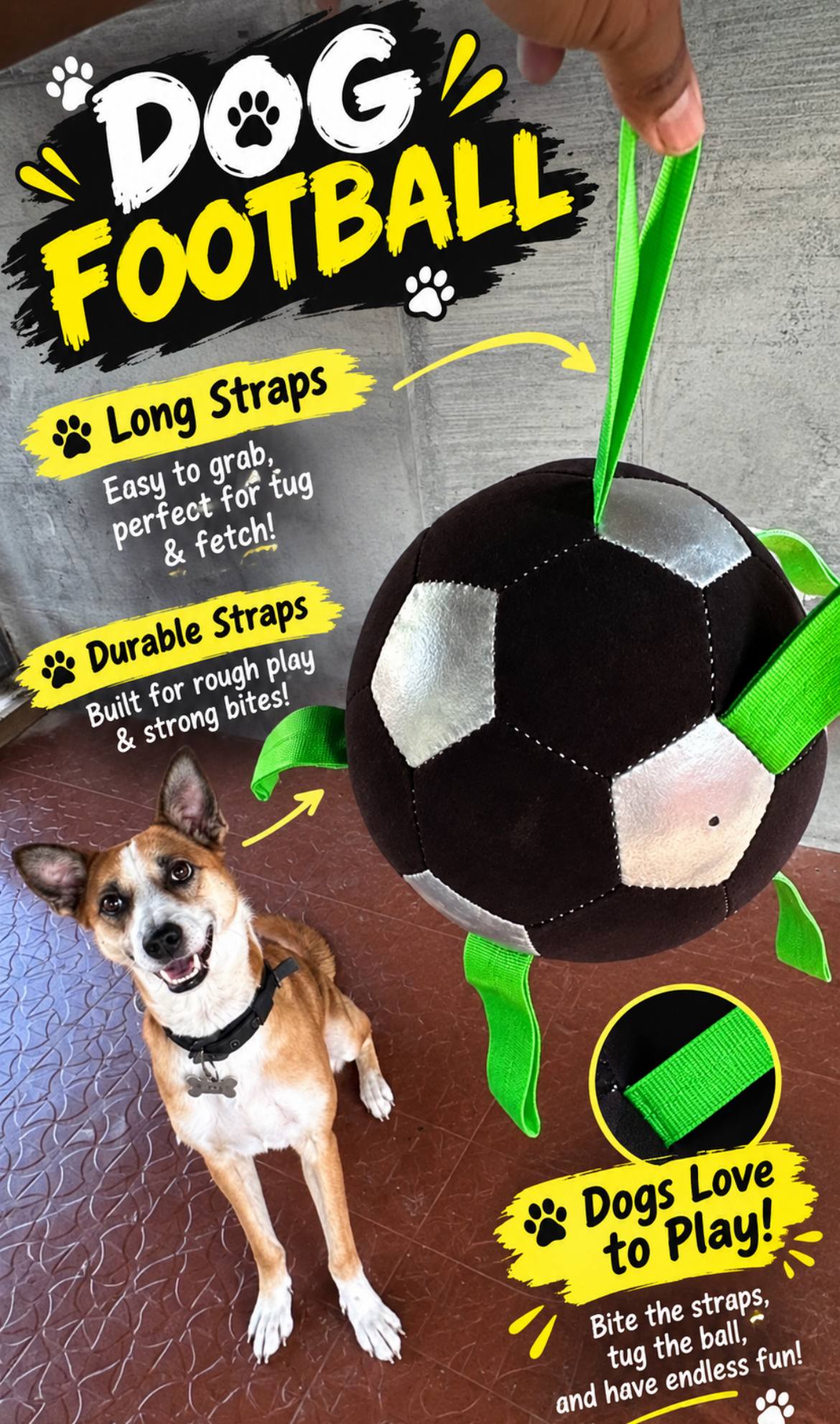 LARGE DOG FOOTBALL