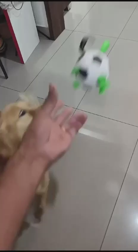 LARGE DOG FOOTBALL